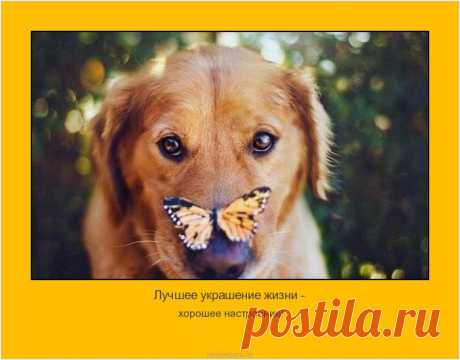 Афоримзы, цитаты, мысли людей. Позитивные мотиваторы.
