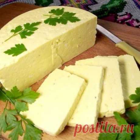 Ленивая домашняя брынза