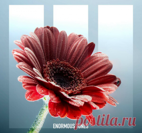 Download Passenger 10 – Druids [ETR775] Artist: Passenger 10 Title: Druids Genre: Melodic House & Techno Label: Enormous Tunes Quality: 320 kbps