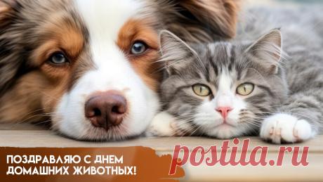 Поздравляю всех любителей и обладателей питомцев с Днем домашних животных! Желаю, чтобы вы были счастливы со своими любимцами. Пусть каждый домашний зверек будет здоров, сыт, вдоволь выгулян и послушен. Открытки на День домашних животных!