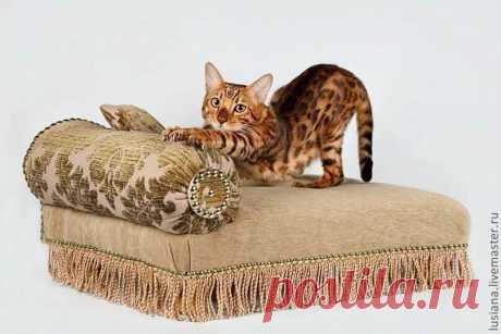 мебель для животных: 2 тыс изображений найдено в Яндекс Картинках