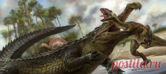 Древний крокодил охотился на динозавров Вид Isisfordia molnari является одним из старейших известных прямых предков современных живых крокодилов. Этот вид был назван в честь Ральфа Мольнара,