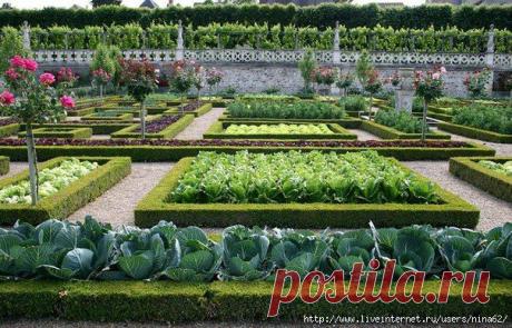 ЗЕЛЕНАЯ АПТЕКА ДЛЯ РАСТЕНИЙ ПРОТИВ ВРЕДИТЕЛЕЙ И БОЛЕЗНЕЙ. Обсуждение на LiveInternet