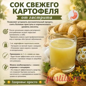 Сок свежего картофеля от гастрита