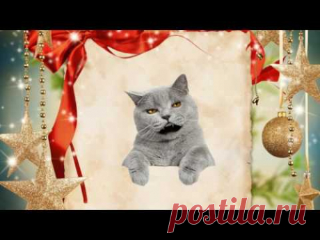 футаж &quot;Кот поздравляет с Новым годом&quot; - YouTube
