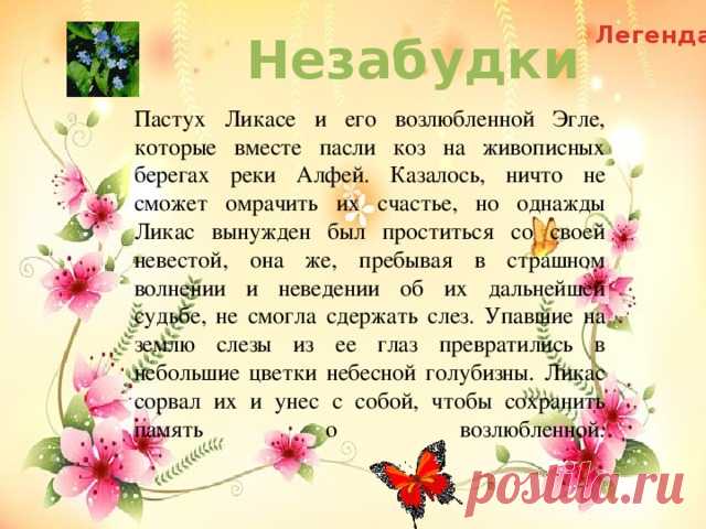 img_user_file_5461a14d06c3d_22.jpg (640×480)