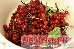 Калина с медом и лимоном на зиму