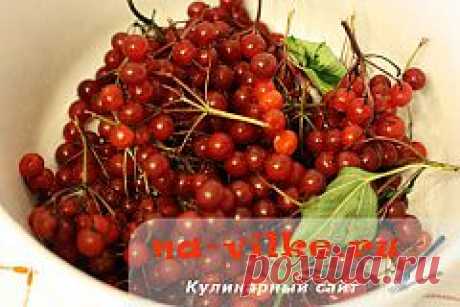 Калина с медом и лимоном на зиму