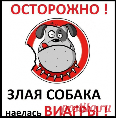 Самые прикольные таблички на воротах