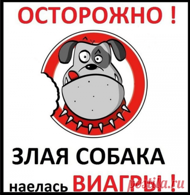 Самые прикольные таблички на воротах