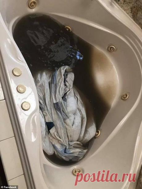 Отстирается все: совет американских домохозяек спасет даже безнадежные вещи - Woman.ForumDaily