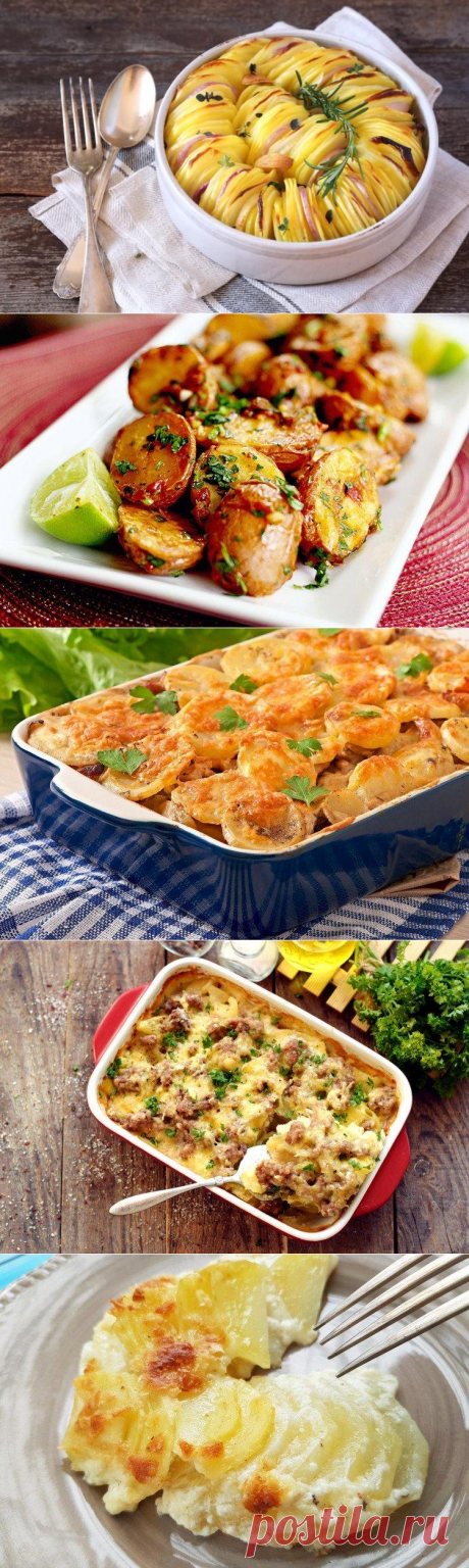 Картофель, запеченный в духовке - 20 простых и вкусных рецептов
Картофель запеченный в духовке https://dzen.ru/media/id/5b360176097aec00a8fe8951/samyi-vkusnyi-kartofel-zapechennyi-v-duhovke--5b36030a897f2c00a97db411
Блюда из картофеля, в духовке https://www.russianfood.com/recipes/bytype/?fid=924,1020