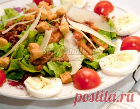Салат из курицы. Лучшие рецепты в интернете