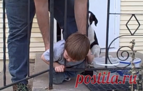 Мальчик застрял головой между прутьев и даже отец не смог ему помочь. Решение оказалось таким простым