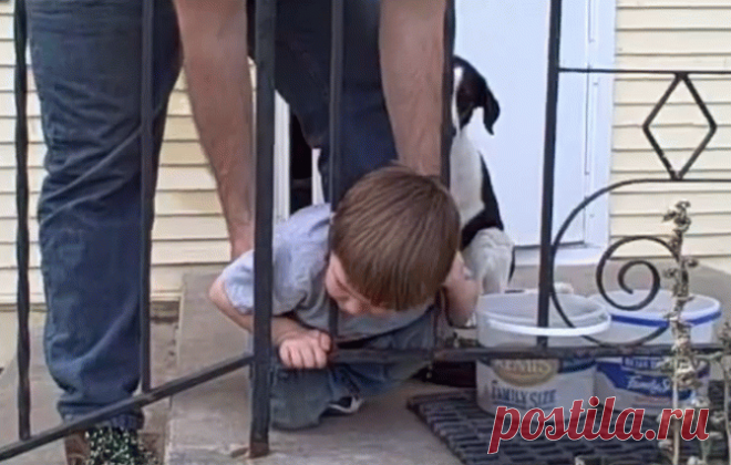 Мальчик застрял головой между прутьев и даже отец не смог ему помочь. Решение оказалось таким простым