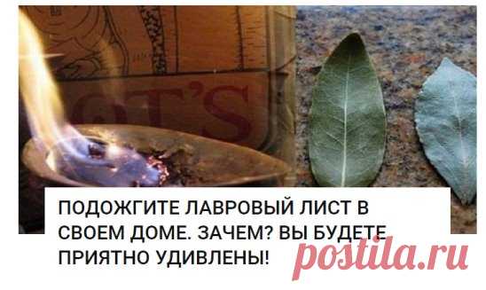 Каждый дом обладает своим ароматом. У кого-то он пахнет духами или кофе, у других же домашней едой или теплым молоком. Но бывают жилища, в которых присутствует запах невероятной свежести и чистоты. При этом вы чувствуете себя там очень уютно, так как это не искусственный запах освежителя воздуха.
Очень может быть, что эти люди знают способ, которым пользовались древние греки и римляне. Они применяли лавровый лист не только в кулинарии, но и использовали его для очищения по...
