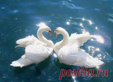 Фразы,Высказывания,Стихи,Цитаты,Видео...
Елена Станова