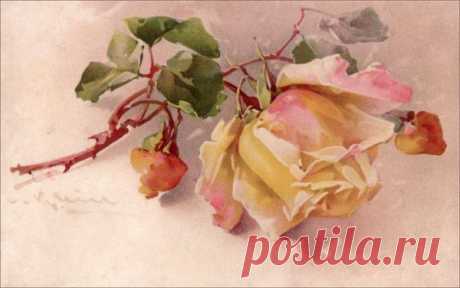 Sonie Ames / Искусство / Художники. Sonie Ames. / Pinme.ru / Pinme