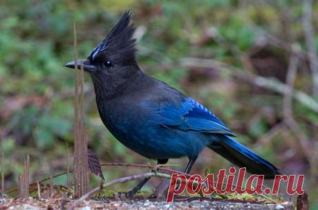 sjay-1.jpg (2400×1590)