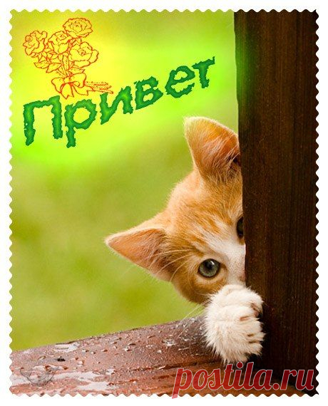 Моя страница вконтакте вход