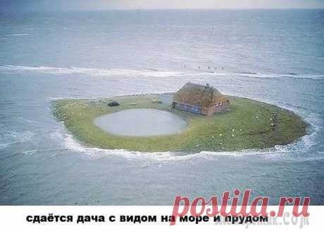 ВЕСЁЛЫЕ ФОТКИ часть первая