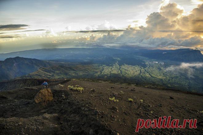 Райские кущи Индонезии — Наука и жизнь