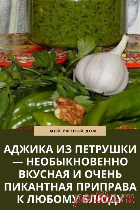 Рецепт вкусной аджики из петрушки