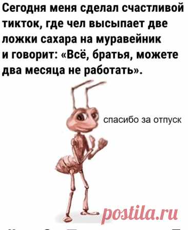 Выпуск №6444 - выпуск анекдотов сайта вокруг смеха