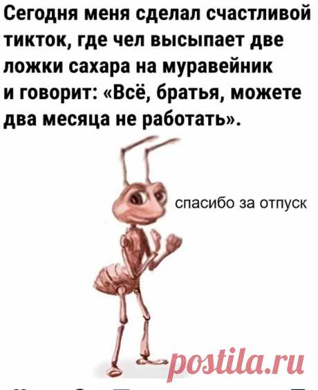 Выпуск №6444 - выпуск анекдотов сайта вокруг смеха