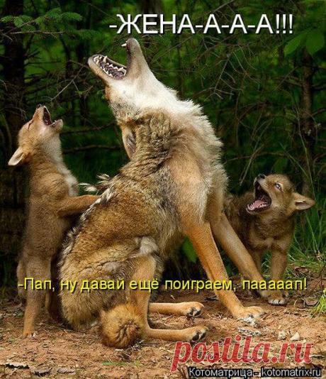 Разные зависимости (котоматрицы) | Обхохочешься