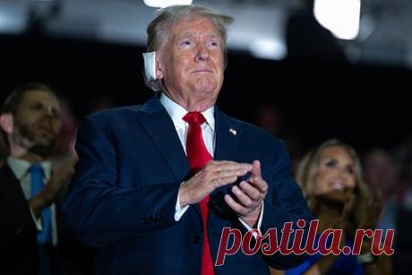 Конгрессмен рассказал о внешней политике Трампа в случае его президентства