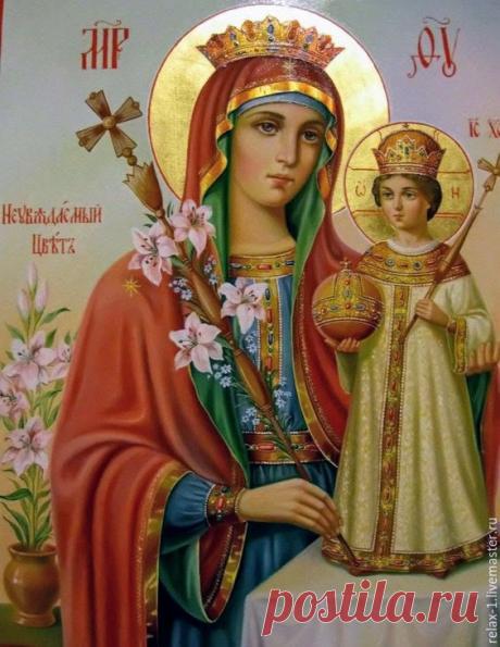 "НЕУВЯДАЕМЫЙ ЦВЕТ"