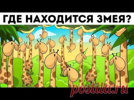 Подпишитесь на AdMe: https://goo.gl/DgUonf ---------------------------------------------------------------------------------------- Насколько вы внимательны? ...