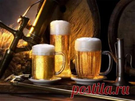 Международный день пива (International Beer Day): описание и история праздника