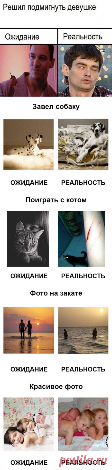 Жизнь в ожиданиях и реальности (25 фото)