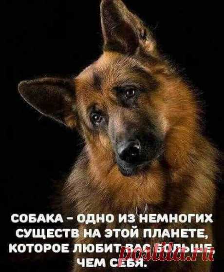 Пока новости,слава Богу, не приходят.)