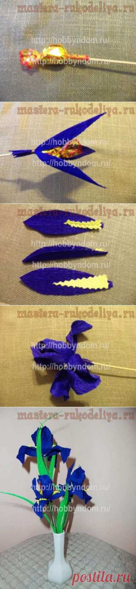 Мастер-класс по букетам из конфет: Синий ирис