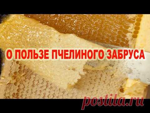 О пользе пчелиного забруса.