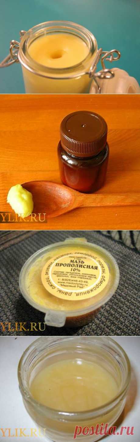 Мазь из прополиса своими руками