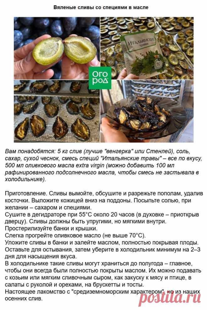 Вяленые сливы со специями в масле