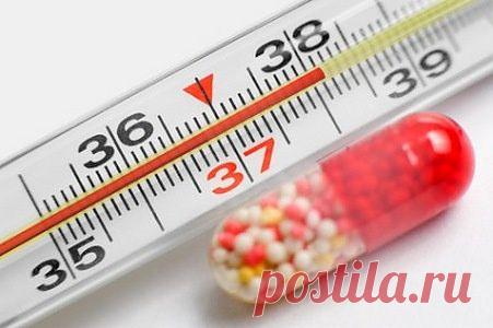 Высокая температура: методы понижения / Малютка