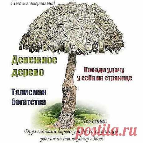 Пожелания