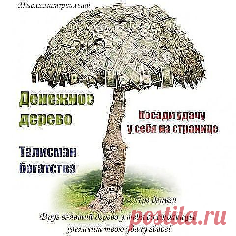 Пожелания