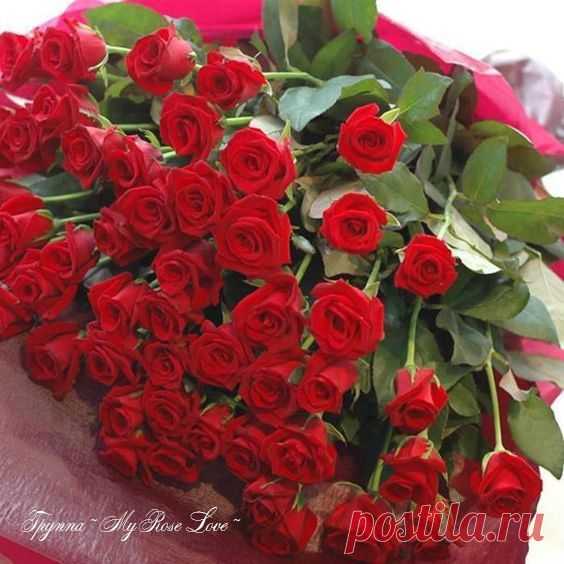 Пусть будет —
Здоровье — хорошим,
Любой день — погожим,
Жилище — уютным,
А ветер — попутным,
Удача — привычной,
Мечта — необычной,
Улыбка — беспечной,
Любовь — бесконечной!
Объятья пошире
И Мир во всём Мире!..