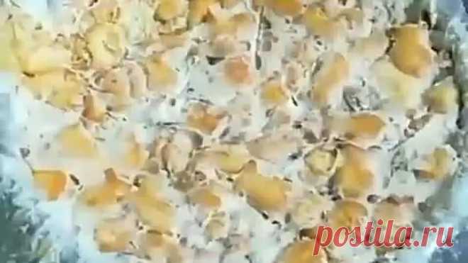 НЕЖНЫЙ ТОРТИК ИЗ КРЕКЕРА СО СМЕТАНОЙ БЕЗ ВЫПЕЧКИ ( рецепт )