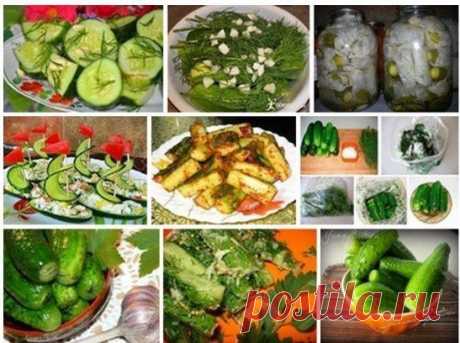 14 рецептов с огурцами на зиму.