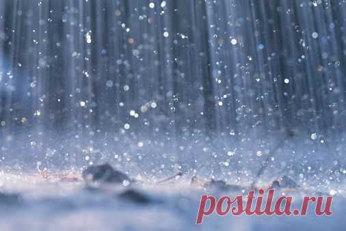 20 интересных фактов о дожде | Интересные факты