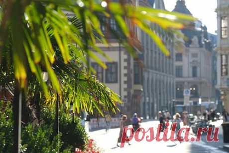 Человечеству предрекли новые температурные рекорды. В ближайшие годы в мире будет больше температурных рекордов на фоне глобального потепления. Такие последствия климатического кризиса предрек доктор физико-математических наук, заведующий лабораторией климатологии Института географии РАН Владимир Семенов. Он предупредил, что такая погода опасна для здоровья людей.