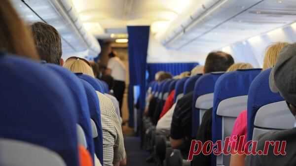 Жительнице Петербурга вынесли приговор за дебош на борту самолета