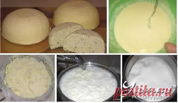 Очень вкусный и полезный сыр сулугуни.